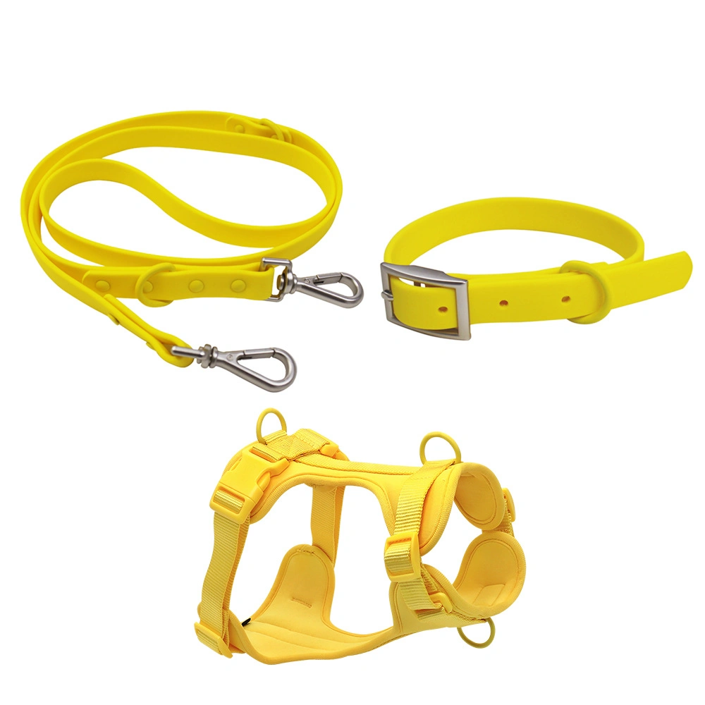 Design PVC Popular Pet Outdoor Leash Design Dog Harness