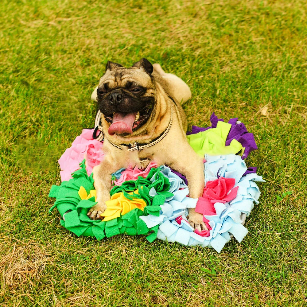 Machine Washable Pet Smell Training Pad Pet Dog Snuffle Mat Custom