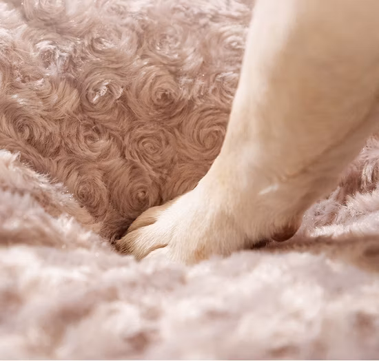 사용자 정의 럭셔리 새로운 디자인 지팡이 등나무 여름 냉각 창고, 편안한 애완 동물 매트, 고양이 둥지, 부드러운 고리 버들 등나무 개 침대